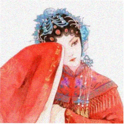 读者沈屿头像